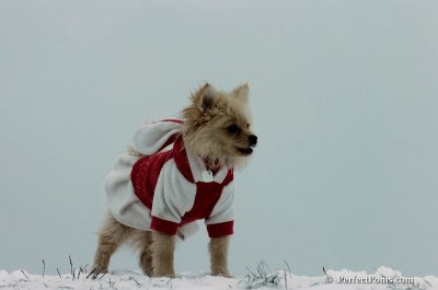 Dec15_07_501.JPG
