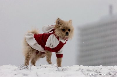 Dec15_07_506.JPG