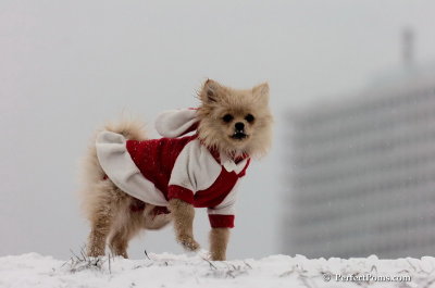Dec15_07_507.JPG