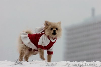 Dec15_07_508.JPG