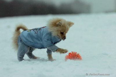 Dec15_07_523.jpg