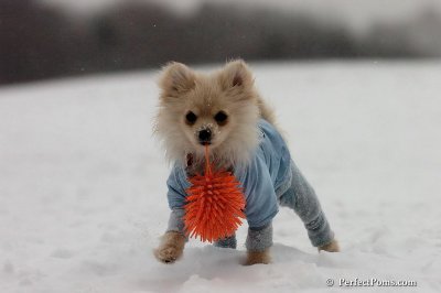 Dec15_07_525.jpg