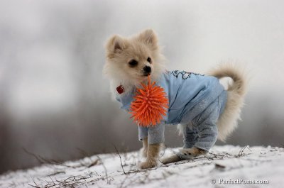 Dec15_07_528.JPG