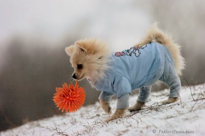 Dec15_07_530.JPG