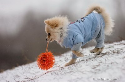 Dec15_07_531.JPG
