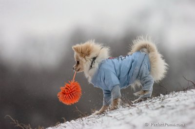 Dec15_07_532.JPG
