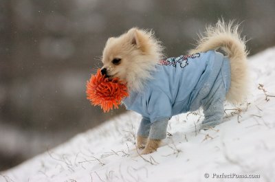 Dec15_07_538.JPG