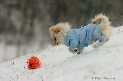 Dec15_07_541.JPG