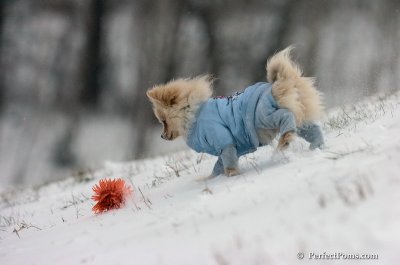 Dec15_07_543.JPG