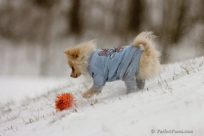 Dec15_07_544.jpg
