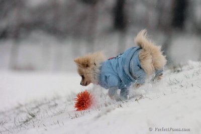 Dec15_07_545.jpg