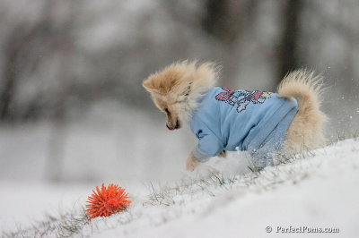 Dec15_07_547.jpg