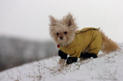 Dec15_07_548.JPG