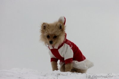 Dec15_07_549.JPG