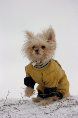 Dec15_07_550.JPG