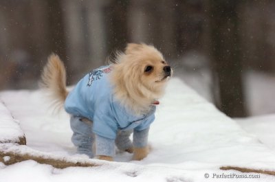 Dec15_07_327.JPG