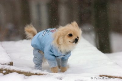 Dec15_07_328.JPG