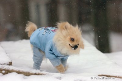 Dec15_07_329.JPG