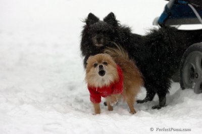 Dec15_07_345.JPG