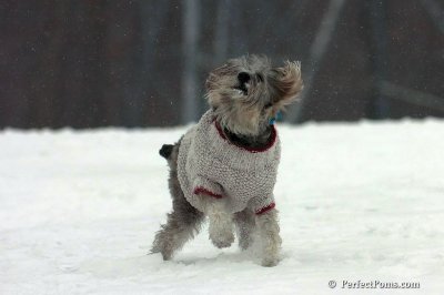 Dec15_07_358.jpg