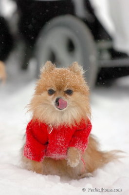 Dec15_07_363.JPG