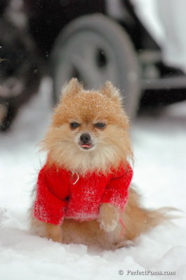 Dec15_07_367.JPG