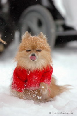 Dec15_07_368.JPG