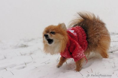 Dec15_07_046.jpg