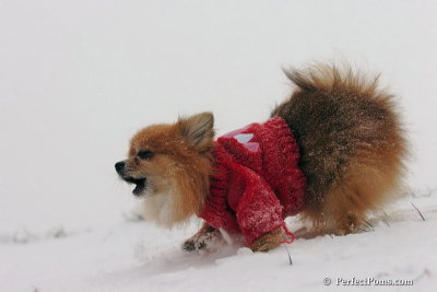 Dec15_07_047.jpg
