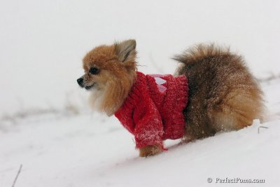 Dec15_07_053.jpg