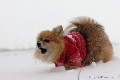 Dec15_07_054.jpg