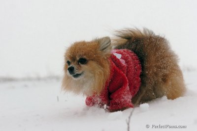 Dec15_07_055.jpg