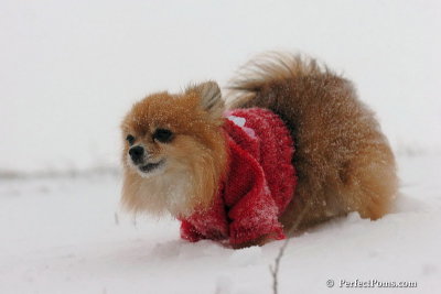 Dec15_07_057.jpg