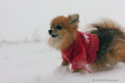 Dec15_07_059.jpg