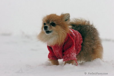 Dec15_07_060.jpg