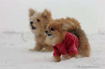 Dec15_07_067.JPG
