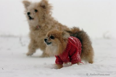 Dec15_07_068.JPG