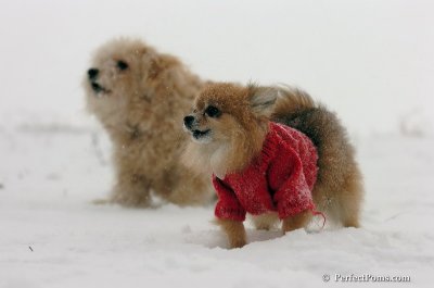 Dec15_07_070.JPG
