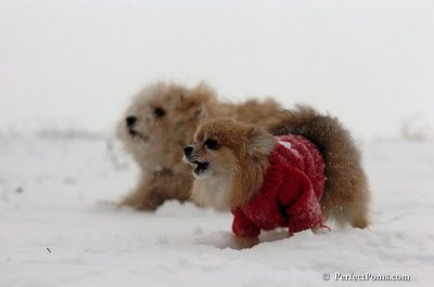 Dec15_07_075.JPG