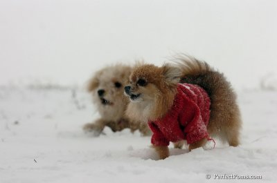Dec15_07_076.JPG