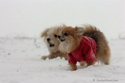 Dec15_07_077.JPG