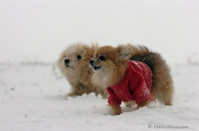 Dec15_07_078.JPG