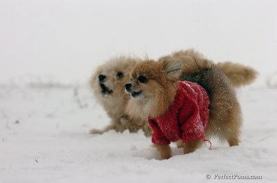 Dec15_07_080.JPG