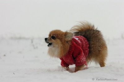 Dec15_07_081.JPG
