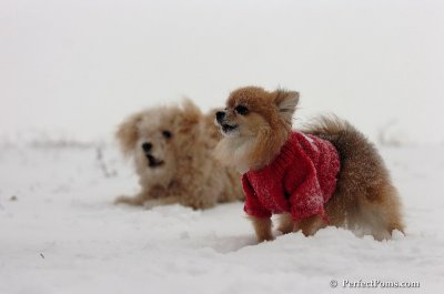 Dec15_07_088.JPG