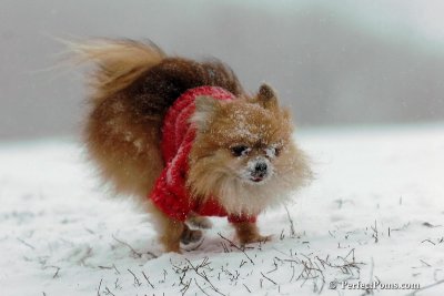Dec15_07_094.jpg