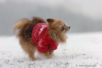 Dec15_07_095.jpg