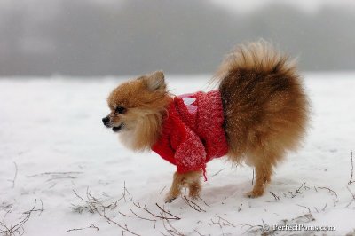 Dec15_07_105.jpg
