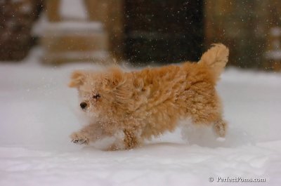 Dec16_07_255.JPG
