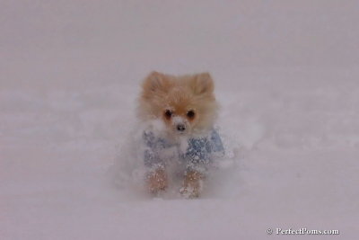 Dec16_07_283.jpg